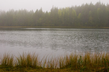 lake in fog