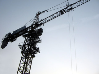 crane