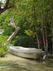 rowboat in quiet cove
