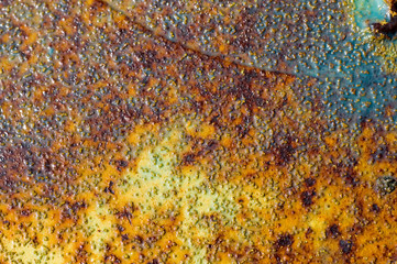 rust and paint