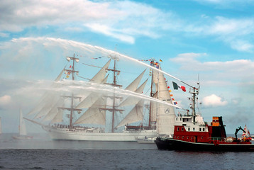 Naklejka premium sailing-ship-2