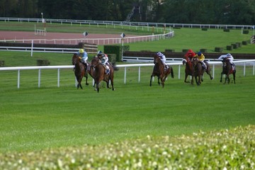 course de chevaux