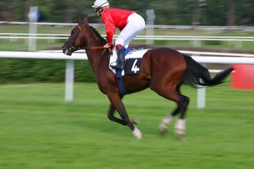 course de chevaux