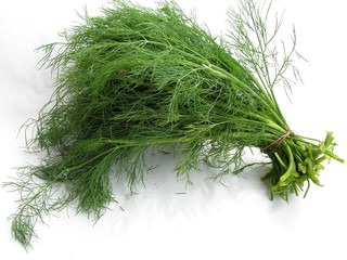 dill leaves bunch