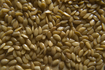 linseed 2