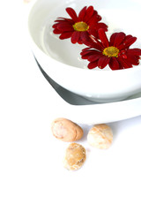 natural stone spa therapy