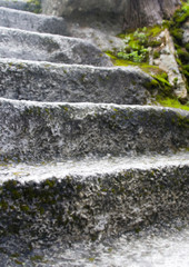 steps