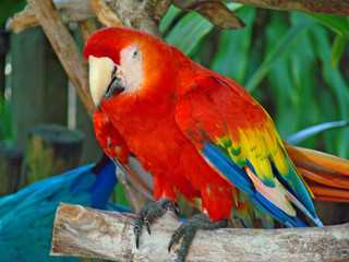 here's looking at you