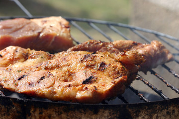 meat on the grill
