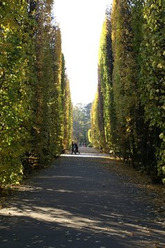 A Walk In The Park