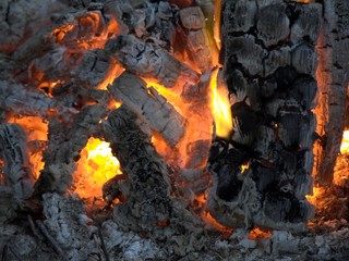 the fire coals