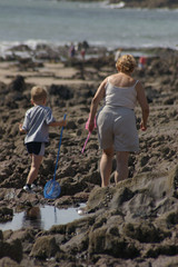rock pooling 02
