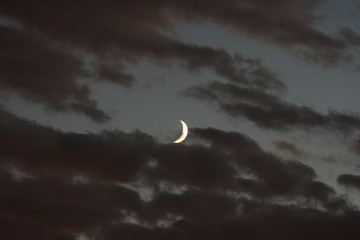 Obraz na płótnie Canvas night sky and crescent moon