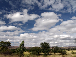 Obraz premium african landscape