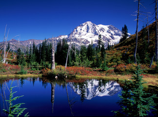 rainier west