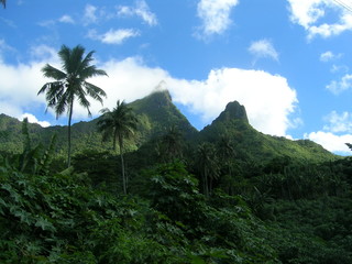 Fototapeta na wymiar Tahiti Moorea Ridge