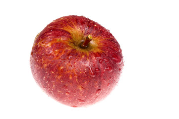 red wet apple on the white