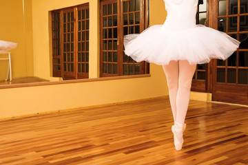 ballerina #14 - 1373858