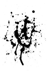Obraz na płótnie Canvas black splashes
