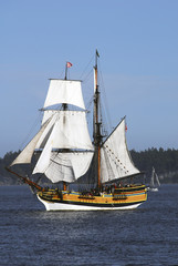 lady washington