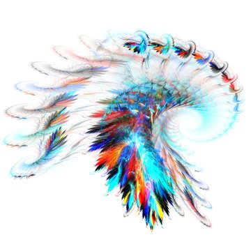 rainbow feathers