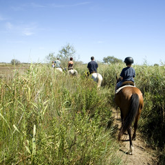 file indienne © Eric Isselée