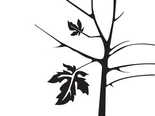 autumn leaves & tree