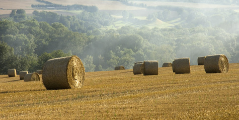 haybales cornfield agricultural landscape