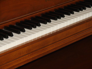 section of ivories