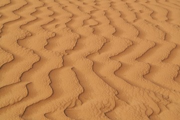 desert2