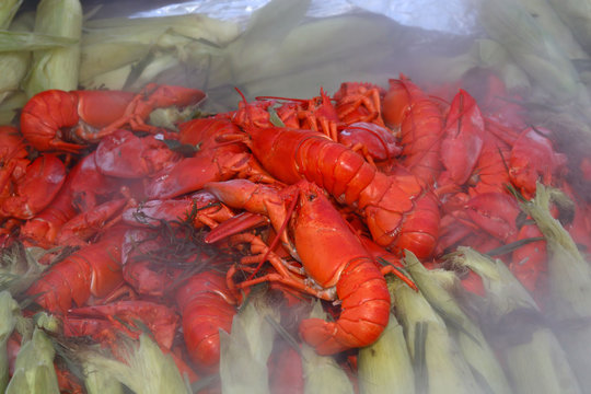 cooked lobsters