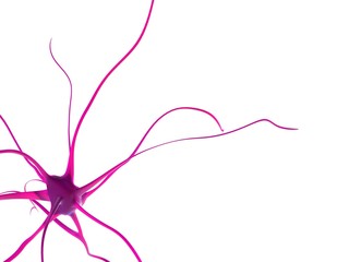 abstrakte organische form