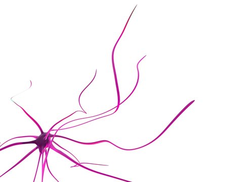 purple neuron abstract on white background clip art preview