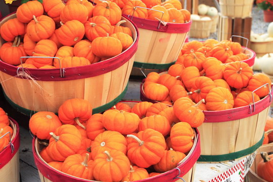 pumpkins