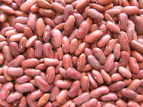 0502-haricots rouges