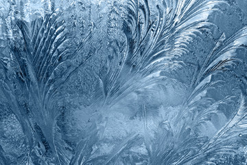 frozen  window-glass