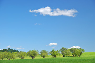 Obraz premium rural spring countryside