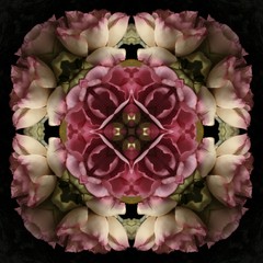 kaleidoscope pattern