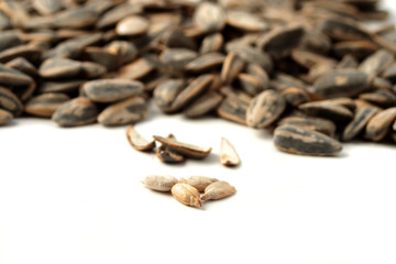 sunflower seeds