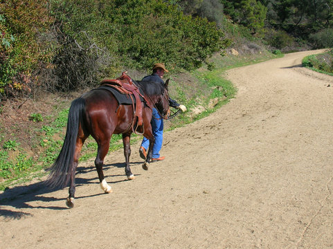 cowboy leading horse