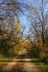 fall season colors trail