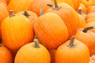 pumpkin background