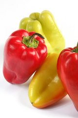 pepper isolated
