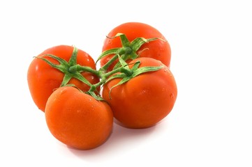 bunch of tomatoes, horizontal, space at right