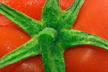 bunch of tomatoes extremet closeup, one, abstract