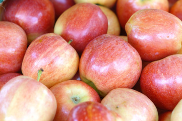 red delicious apples