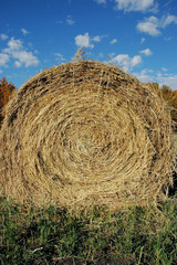 fall hay bail