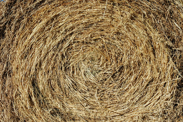fall hay bail