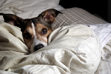 naptime