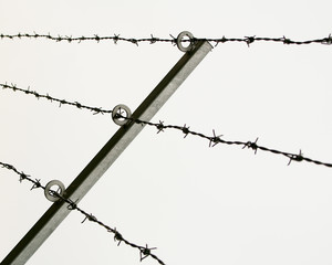 barbed wire